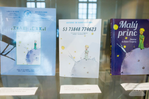 Le Petit Prince exposition Versailles Espace Richaud