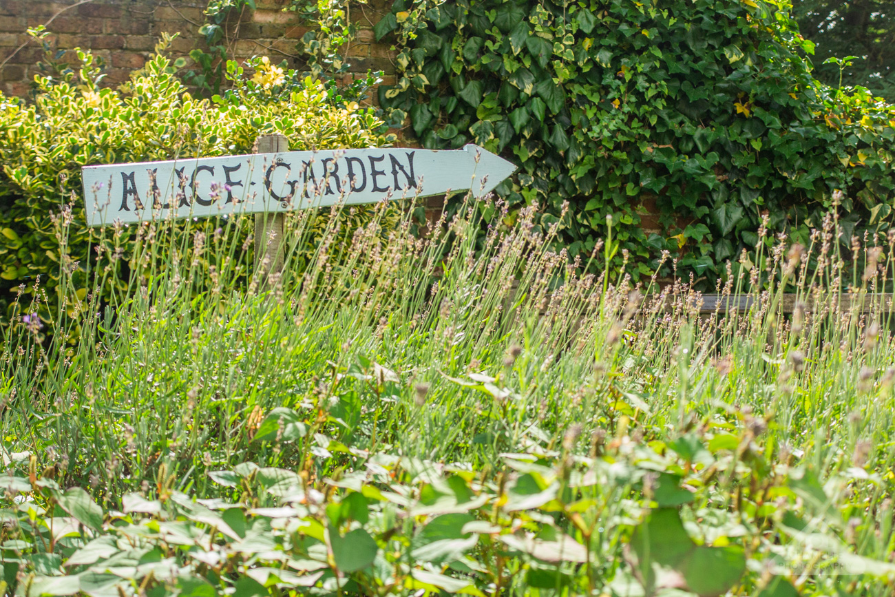 Alice in Wonderland photoshoot - Fairytale Travel - Lewis Carroll in Guildford Surrey UK - Chamelle Photography blog