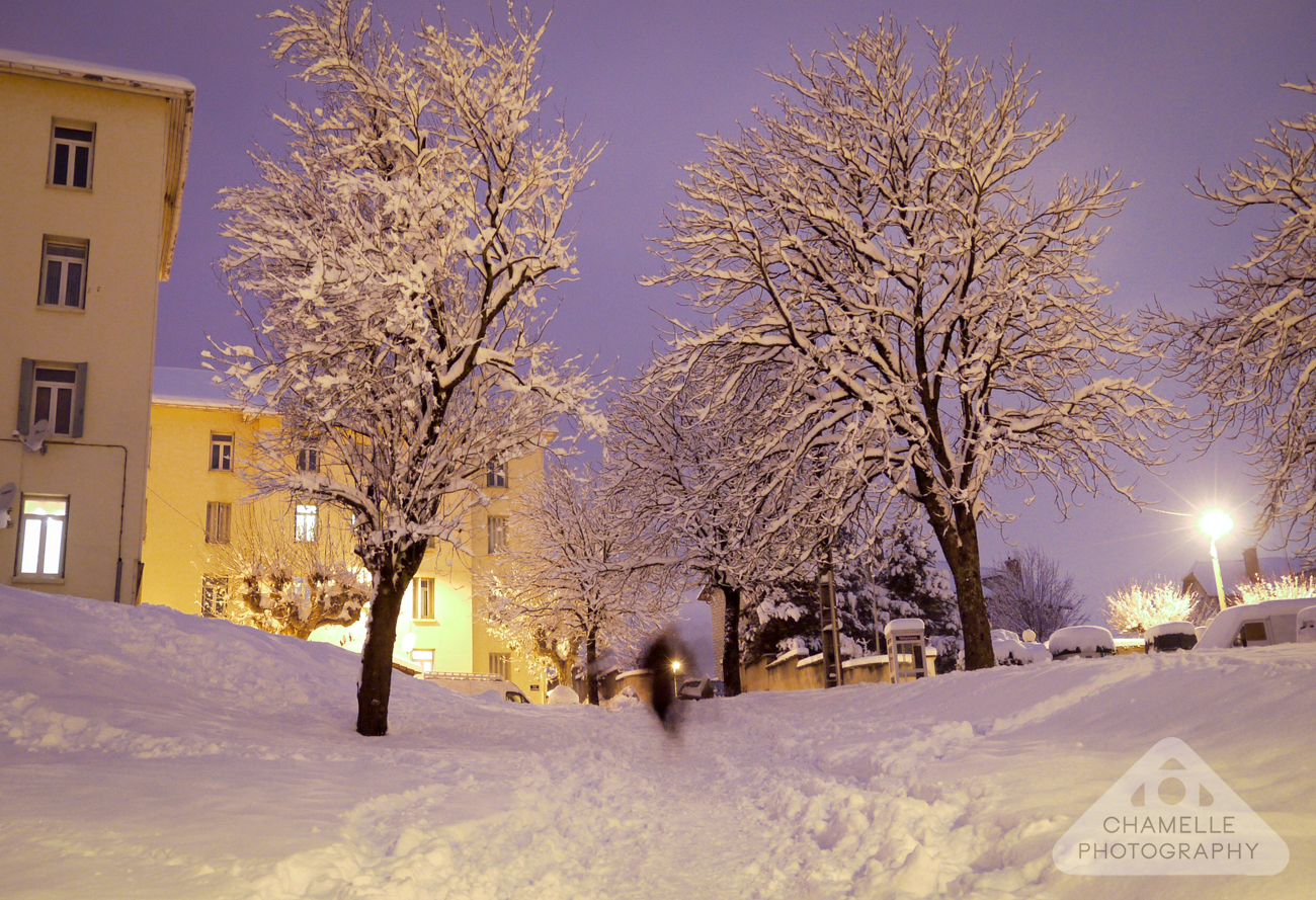 Snow Photo Exhibition - Chamelle Photography