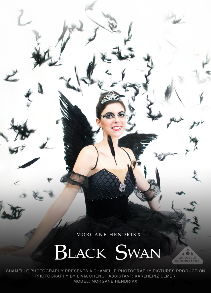black_swan_mock_dvd_movie_poster_by_chamellephoto-d6samkh