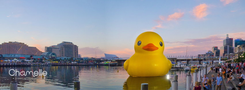 giant-duck-darlingharbour-sydney-hofman-panorama-chamellephoto