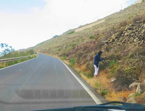 Photoholic 15 – side of road, Lanzarote, Canary Islands
