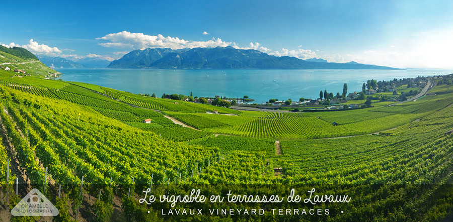 Lavaux, Switzerland - Chamelle Photography