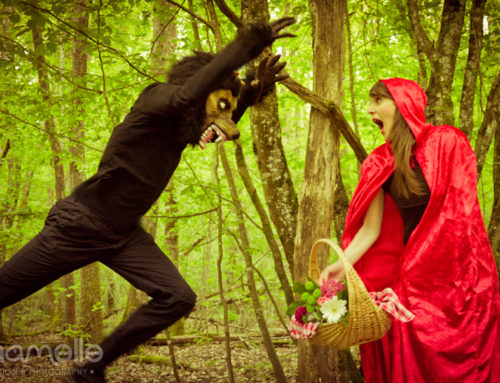 Little Red Riding Hood 05