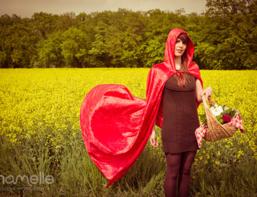 Little Red Riding Hood 03