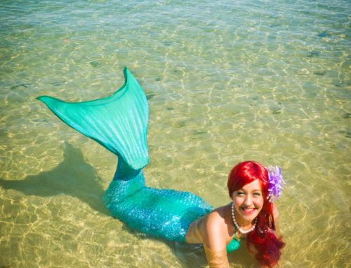 Little Mermaid 02