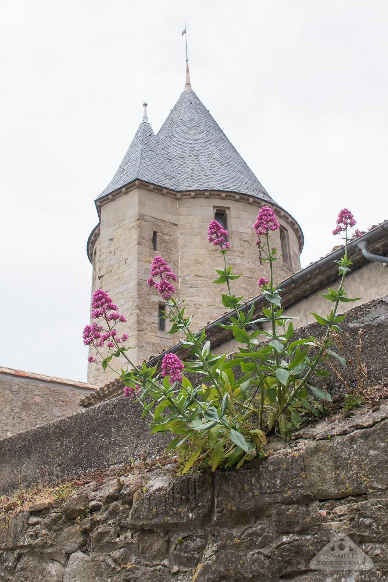 A Midsummer Fairytale – Carcassonne, France – Wheeling It: Tales