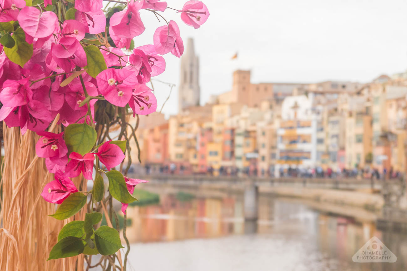 Girona Temps de Flors Flower Time Flower Festival