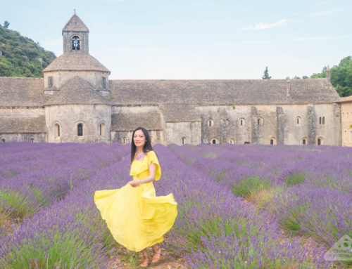 Travel: 10 tips for planning the perfect Lavender fields of Provence road trip