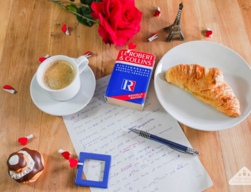 How I learnt French in just 10 months: My top 14 tips