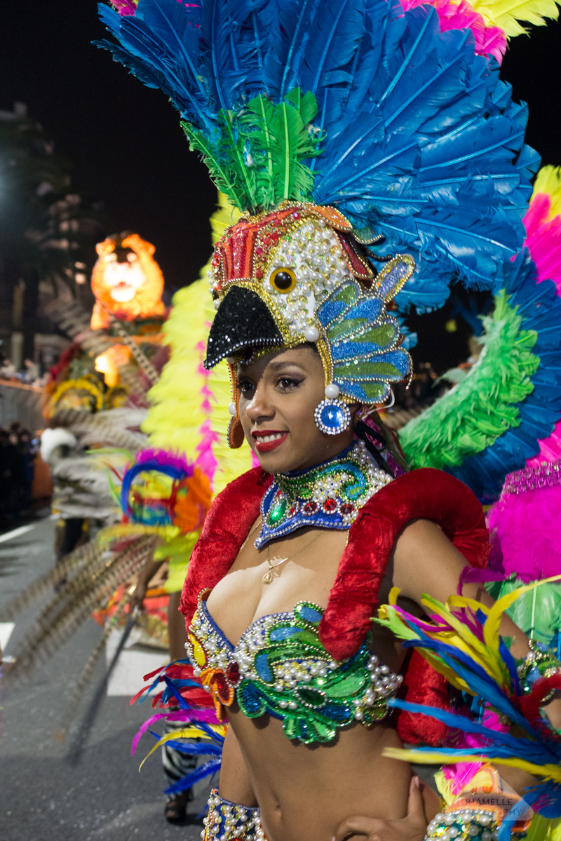 Menton Fete du Citron / Lemon Festival - Night Carnival parade - Corso Nocturne - France - Travel photography blog