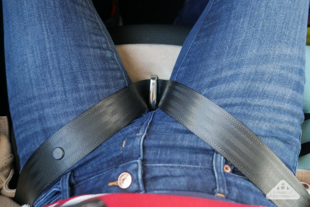 TummyShield Pregnancy seatbelt