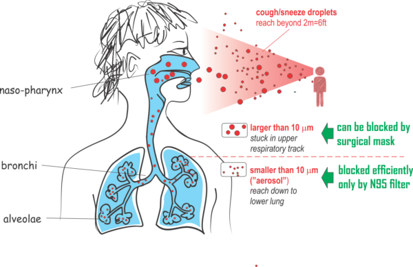 Wear face mask rationale diagram sneeze cough droplets