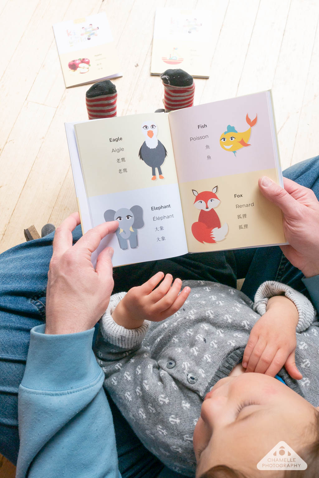 Customizable multilingual children's picture books - Kid of the World