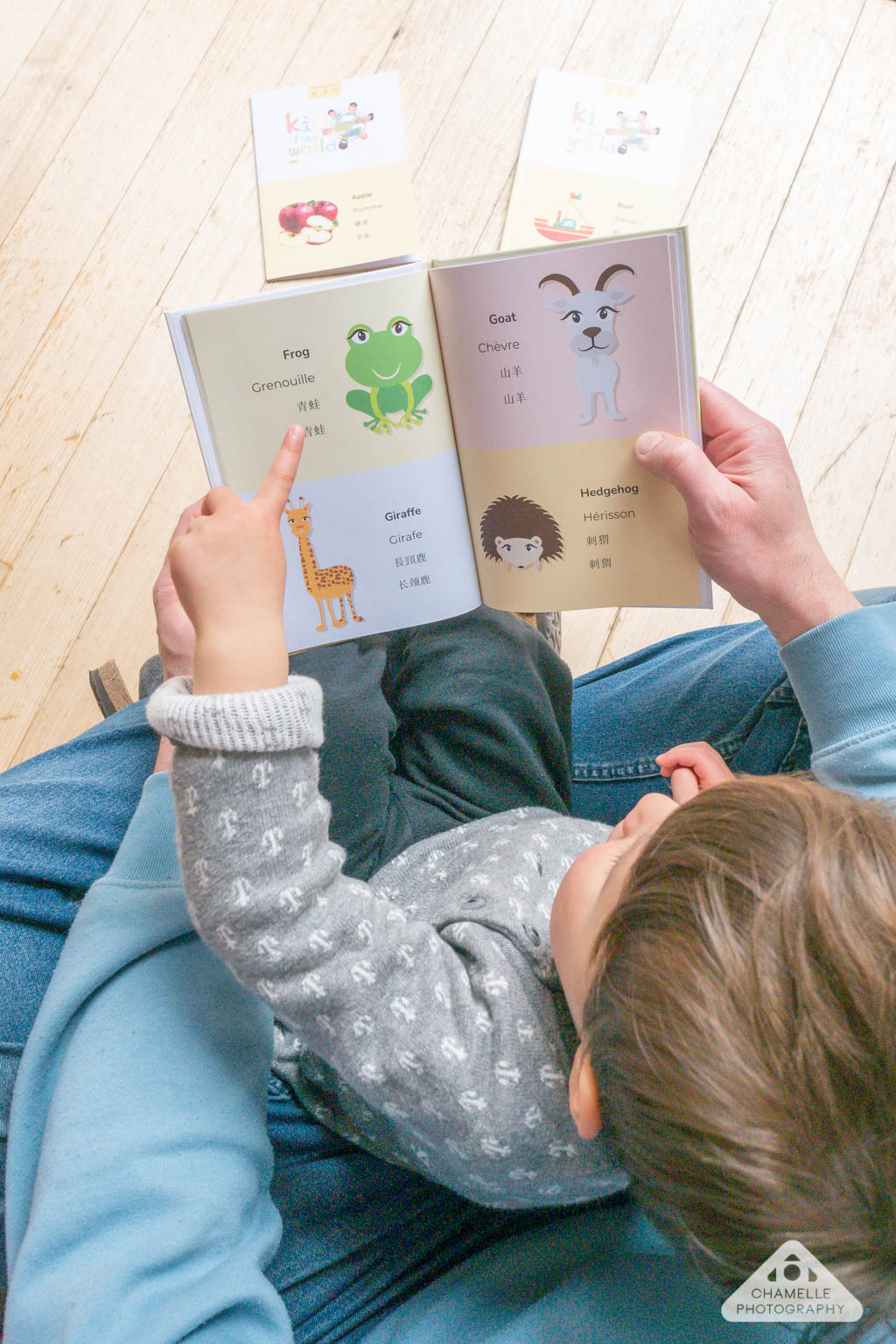 Customizable multilingual children's picture books - Kid of the World